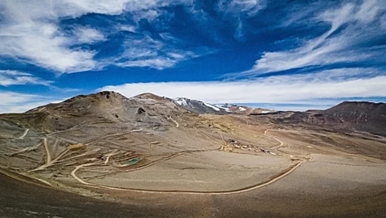 proyecto vicuña