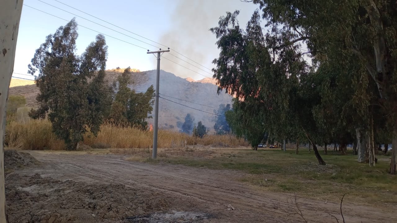Ardieron los cañaverales del Jardín de los Poetas, y el viento complicó el trabajo de contención