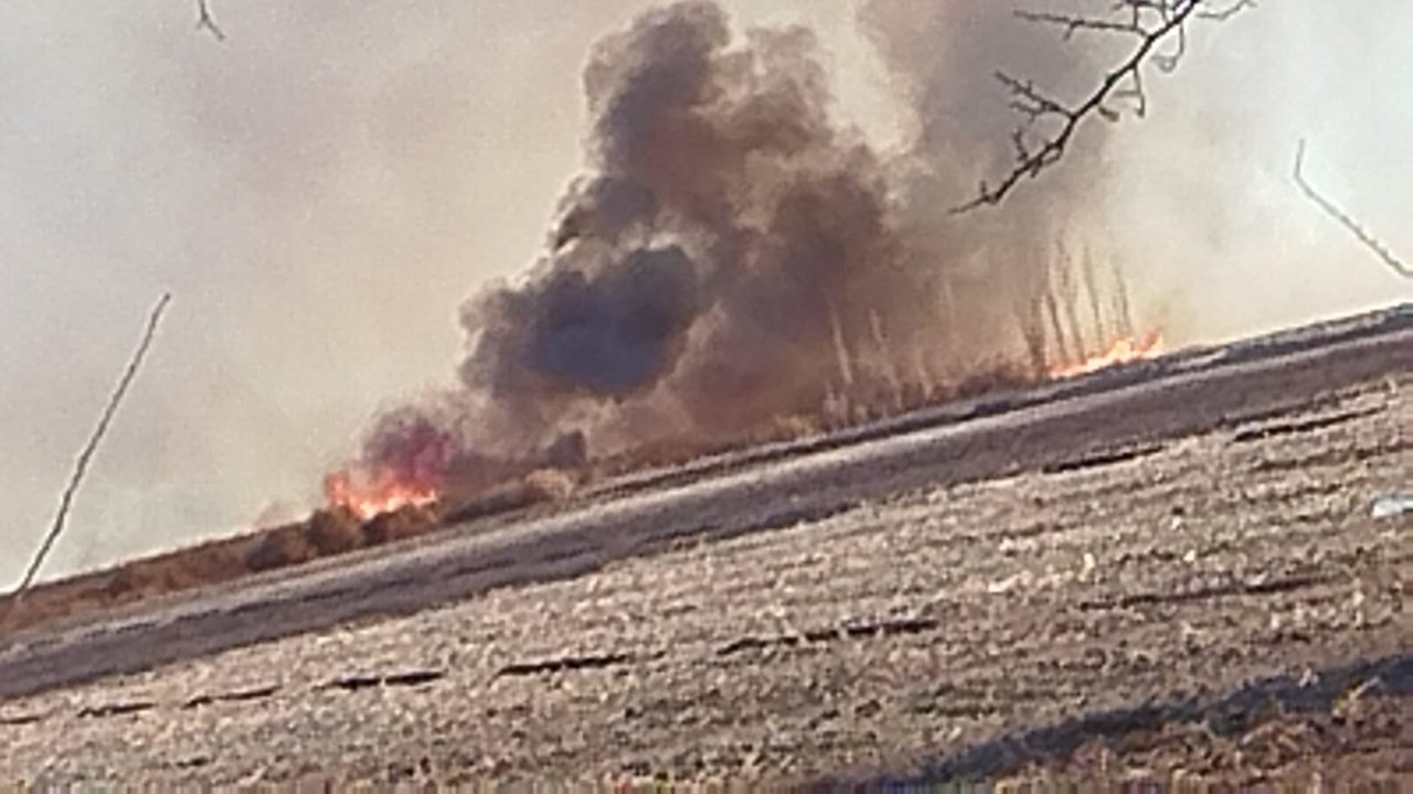 Temor en Pocito por el incendio de unos parrales