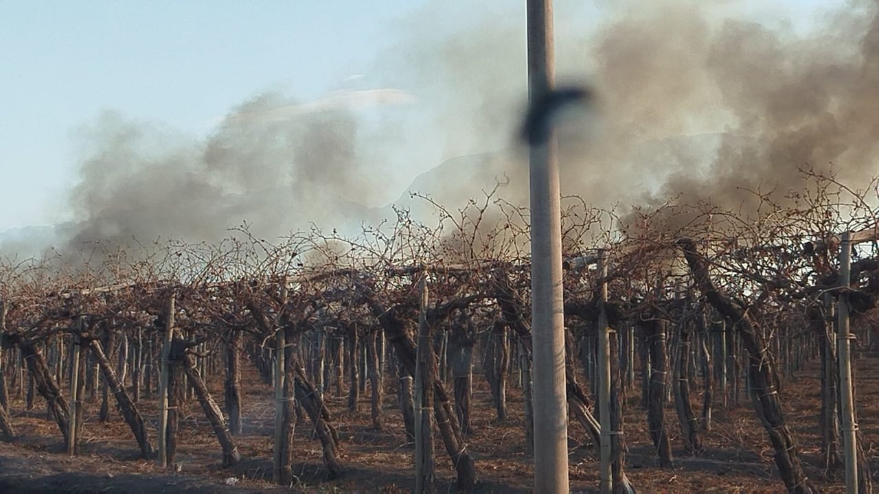 Temor en Pocito por el incendio de unos parrales